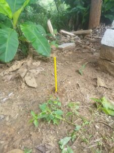 Preparing land for construction